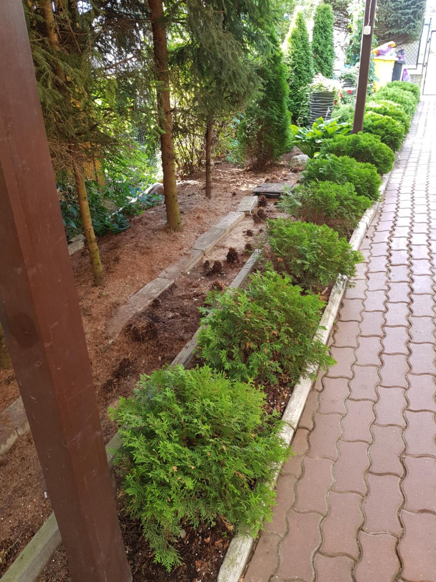 Apartamenty, Pokoje, Noclegi Pracownicze " Skarpa" Wilkasy Bagian luar foto